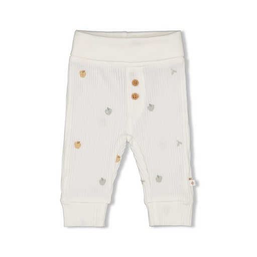 [505869] Broek rib AOP - Autumn Sweetness Size 62