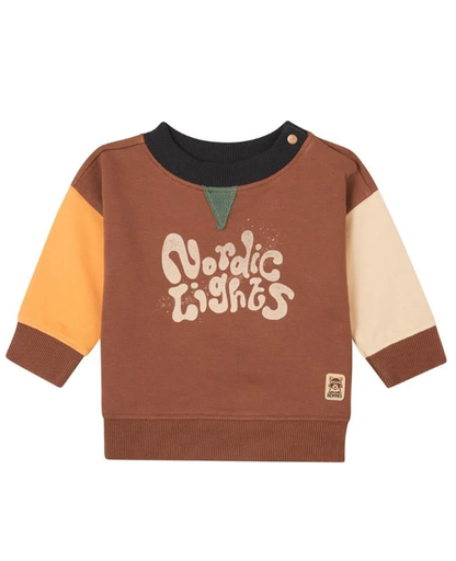 [525399] Boys Sweater Gomora long sleeve Brown Patina