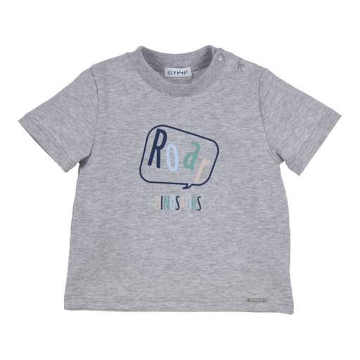 [539640] Gymp | T-shirt Aerochine Roar Grey Melange