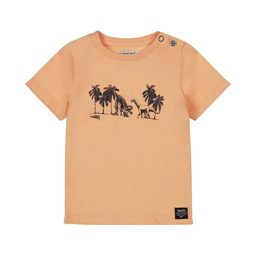 Dirkje | T-shirt Boys Roar Bright orange